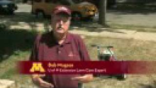 Fall lawn care tips from the U of M [upl. by Ardnued]