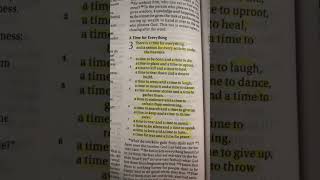 Ecclesiastes 318bibleverse youtubeshorts bibleverseoftheday shortsvideo [upl. by Aliban399]