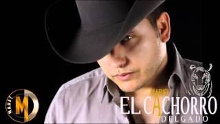 Mario quotEl Cachorroquot Delgado  Mix De Corridos Nuevos [upl. by Kasey]