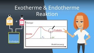 Exotherme und Endotherme Reaktionen  Beispiele und Energiediagramme [upl. by Atikehs]