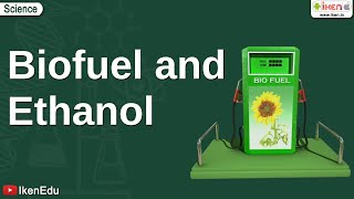 Biofuel and Ethanol  Class 10 Environmental Science  iKen [upl. by Aisyram]