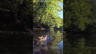 Leaf canoe floating following great naturesounds naturevideo shorts naturelovers mindfulness [upl. by Tomchay]