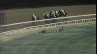 Seattle Slew  The 1977 Belmont Stakes [upl. by Summons]