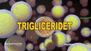 TRIGLICERIDET Animacion 3D [upl. by Anwat]