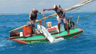 Guerreiros Do MarPESCARIA A 27 KM DA COSTA NUMA PEQUENA JANGADA PESCAMOS BASTANTE PEIXE [upl. by Yssirc]