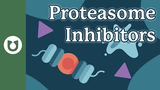 What are proteasome inhibitors [upl. by Nylahs]