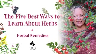 Five Best Ways to Learn About Herbs  Herbal Remedies [upl. by Arianna]