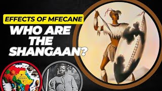 Effects of Mfecane Who are the Shangaan asmr history africa viral [upl. by Hcirdla430]