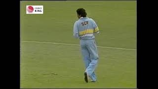 Kapil Dev bowled beautiful over to Desmond Haynes in Adelaide  Benson amp Hedges 199192 [upl. by Reerg]