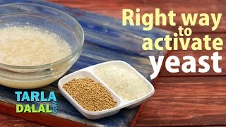 Right Way to Activate the Dry Yeast by Tarla Dalal [upl. by Oninrutas]