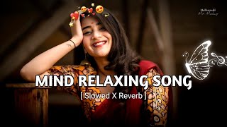 💕Mind Relaxing Songs 2024  Mind Relax Lofi Mashup 2024  Mind Relaxing Music  Malivanshi0004 [upl. by Deryl]