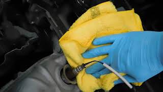 CLEANING CARS ENGINE WITH GRIOTS GARAGE ENGINE CLEANER [upl. by Airtemad]