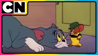 Tom amp Jerry 😺🐭  Million Dollar Chaos Faction  Cartoon for Kids  Only on Cartoon Network [upl. by Eltsyek]