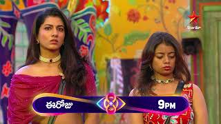 Bigg Boss Telugu 8  Day 20  Promo 2  Who Made the Mistake  Star Maa [upl. by Stagg]