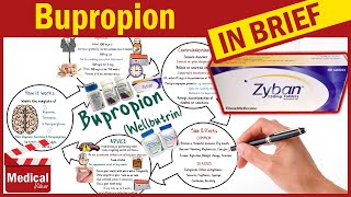 Bupropion XL 300 mg  Wellbutrin Zyban  What is Bupropion Used For Dosage Side Effects amp More [upl. by Bucher]