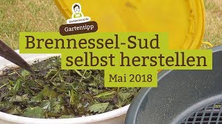 BrennesselSud  BrennesselJauche als Pflanzendünger selbst herstellen [upl. by Alemat]