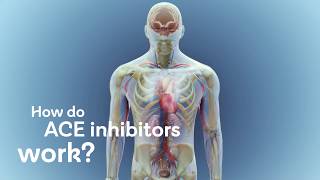 How do ACE inhibitors work [upl. by Josephine]