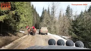 Transylvanie 2024J02 Une journée cool sur les pistes forestières [upl. by Yesdnik637]