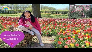 Part Three Floralia Brussels Belgium [upl. by Ellary447]