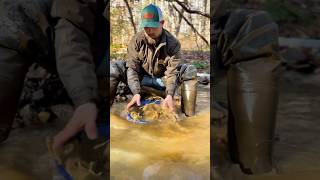 Test Panning For Gold Would you keep Gold Prospecting for Better gold or Fill up a Bucket or 2 [upl. by Emor257]