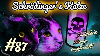 Schrödingers Katze Quantenphysik und Unsterblichkeit  Fräulein Maja empfiehlt Teil 87 [upl. by Bartram609]