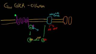 GPCRs in Olfaction Golf [upl. by Avaria]