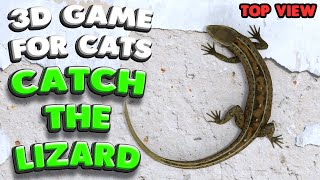 3D game for cats  CATCH THE LIZARD top view  4K 60 fps stereo sound [upl. by Ilahtan]