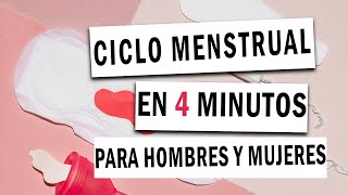 CICLO MENSTRUAL EN 4 MINUTOS  PARA HOMBRES Y MUJERES [upl. by Federico246]