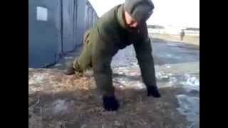 Russian push ups [upl. by Herve]