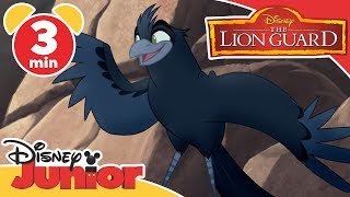 Lion Guard Kion shows Vitani how he mastered the Roar HD [upl. by Gnil]