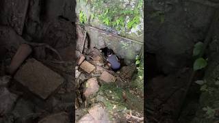 Insane Cave Exploration travel explore scary philippines cave fyp foryou [upl. by Yeltrab498]