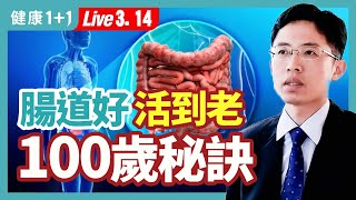 3類食物延緩腸道老化抑發炎，銀髮族的長壽飲食秘訣，世界長壽排名第一 ，日本長壽鎮百歲人瑞超過全國平均3倍，秋葵和海菜海帶 膳食纖維含量高；（20230314） 健康11 · 直播 [upl. by Arehsat75]