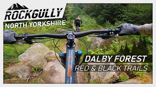 Dalby Forest  Red and Black Trails  North York Moors Mountain Biking [upl. by Salohcim671]