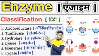 Enzyme in Hindi  Enzymes Biochemistry  Enzyme Classification  Enzymes Inhibition  Enzymes Notes [upl. by Lamont]