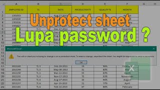 Unprotect sheet excel lupa password [upl. by Leinoto274]