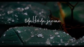 Malai katruvanthu tamil pesuthae  tamil old whatsapp status  tamil melody whatsapp status [upl. by Cranford]