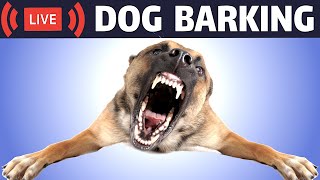 Dog Barking Sound  Dogs Barking Live Bark [upl. by Cati]