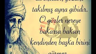 Mevlana Sözleri 🌹 Dinleyin İlaç Gibi Gelecek 🌹 Suskunluğum asaletimdendir mevlana [upl. by Cud844]