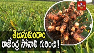 Turmeric Cultivation Tips  hmtv Agri [upl. by Redfield581]