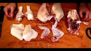 How to Butcher a Whole Chicken [upl. by Esenahs]