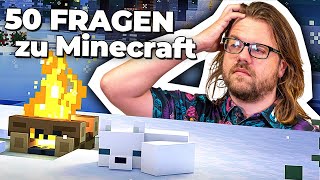 Was hat DLDS uns GELEHRT  50 Fragen zu Minecraft [upl. by Ettenajna781]