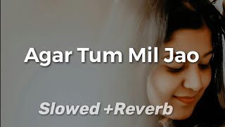 Agar Tum Mil Jao Song  Shreya Ghosal  Agar Tum Mil Jao Slowed And Reverb  Bina Tere Koi Dilkash N [upl. by Alarice]