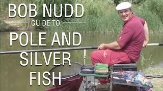 Bob Nudds Guide to Pole and Silver Fish [upl. by Brynne]