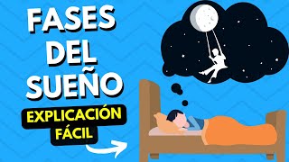 🧠 ¿CUALES Son Las FASES Del SUEÑO Segun La PSICOLOGÍA ✅ 5 FASES DEL SUEÑO IDEAL [upl. by Maloy]