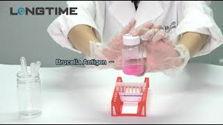 Brucella test kit operation video from Longtime enterprise [upl. by Ahsieyt110]