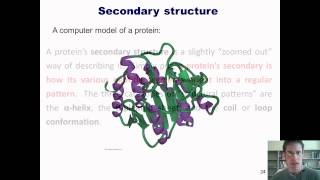 Chapter 23 – Protein Chemistry Part 4 of 4 [upl. by Nayrb]