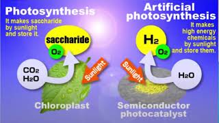 Photoelectrochemical Cells with Cocatalysts for Efficient Hydrogen Evolution from Water [upl. by Mikeb770]