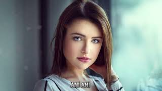 Arbanna  Ani Ani Remix 2024 Hit Music [upl. by Boyes]