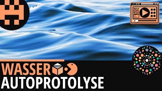 Wasser Autoprotolyse│Chemie Lernvideo Learning Level Up [upl. by Loftus946]