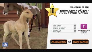 🐴 Fazendo Breed com Cores Raras  Rival Star Horse Racing [upl. by Eceinej393]